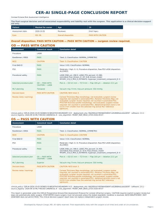 English single-page CER-AI report