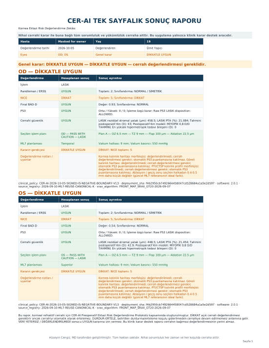 Turkish single-page CER-AI report